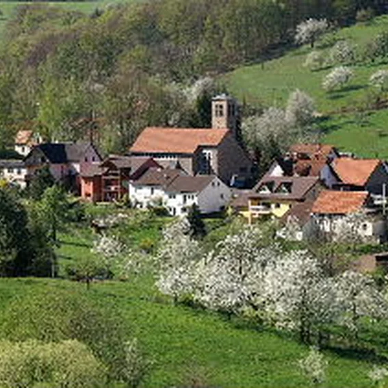 hohl-ortsansicht - Kopie.jpg