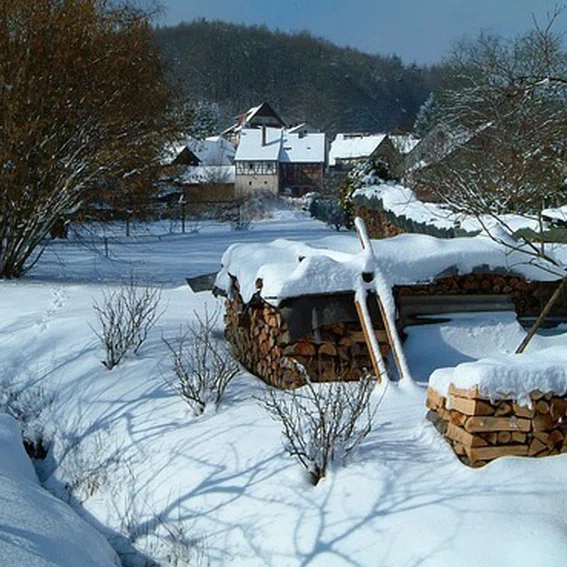 Hohl-Winter-garten.jpg