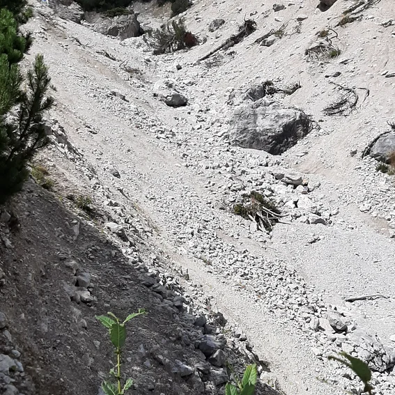 26-20220902_135818.jpg