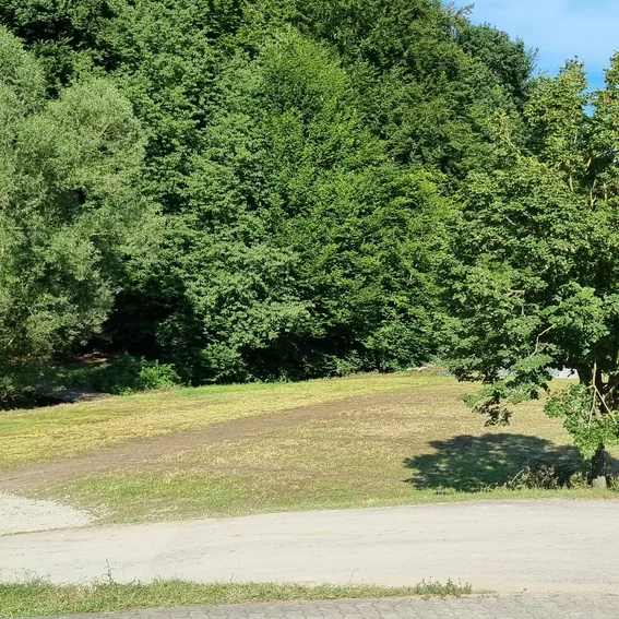 53-Abbau.jpg
