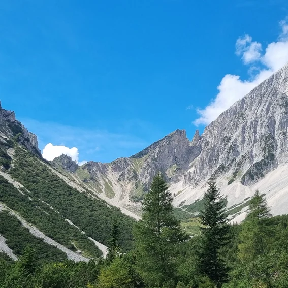 63-Alpenpanorama.jpg
