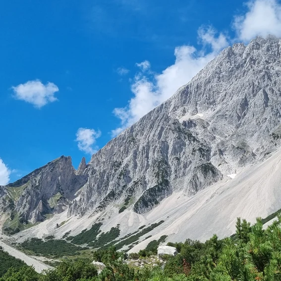 64-Alpenpanorama.jpg