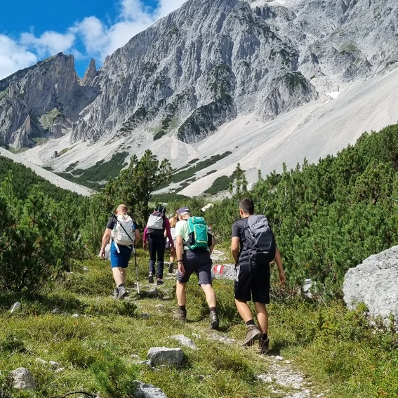 65-aufi auf den berg.jpg
