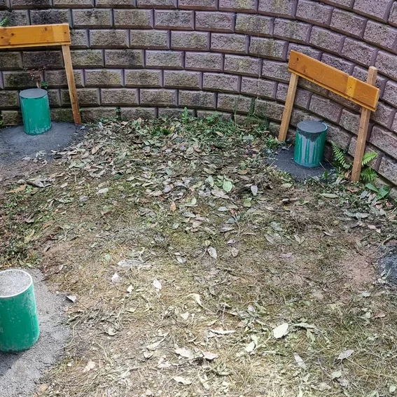 20240720_114835.jpg